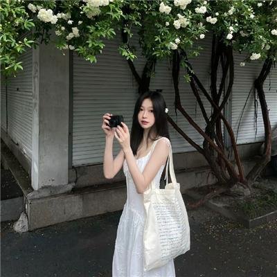 名门淑女